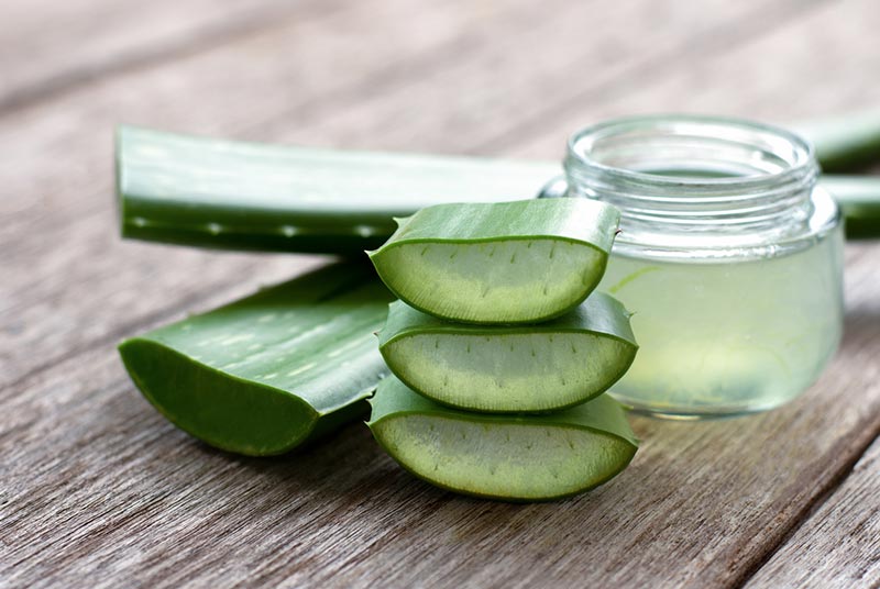 Aloe Vera to be used as lube alternative