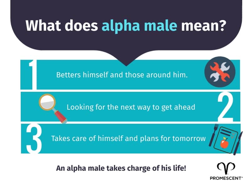 What it means to be an alpha male