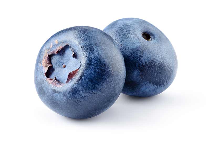 Blue berries representing blue balls condition