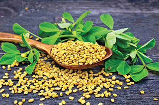 Fenugreek for premature ejaculation