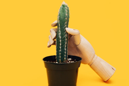 How to masturbate for men ultimate guide