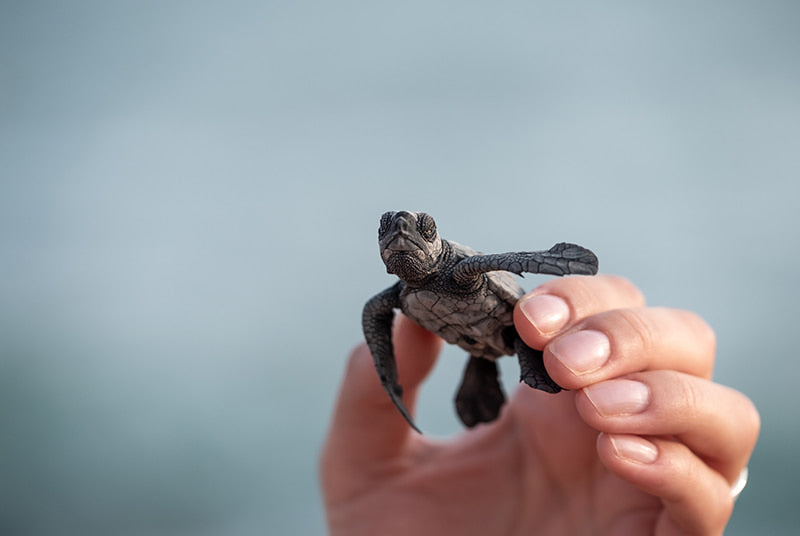 Slowing sex down can make a guy last longer in bed