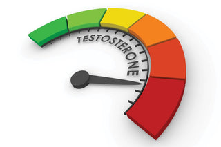 Testosterone meter maxed to the red