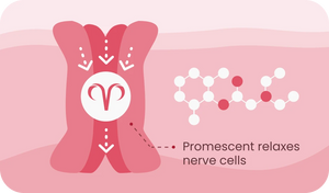 desensitizing spray molecules interacting with sensitive penile nerves