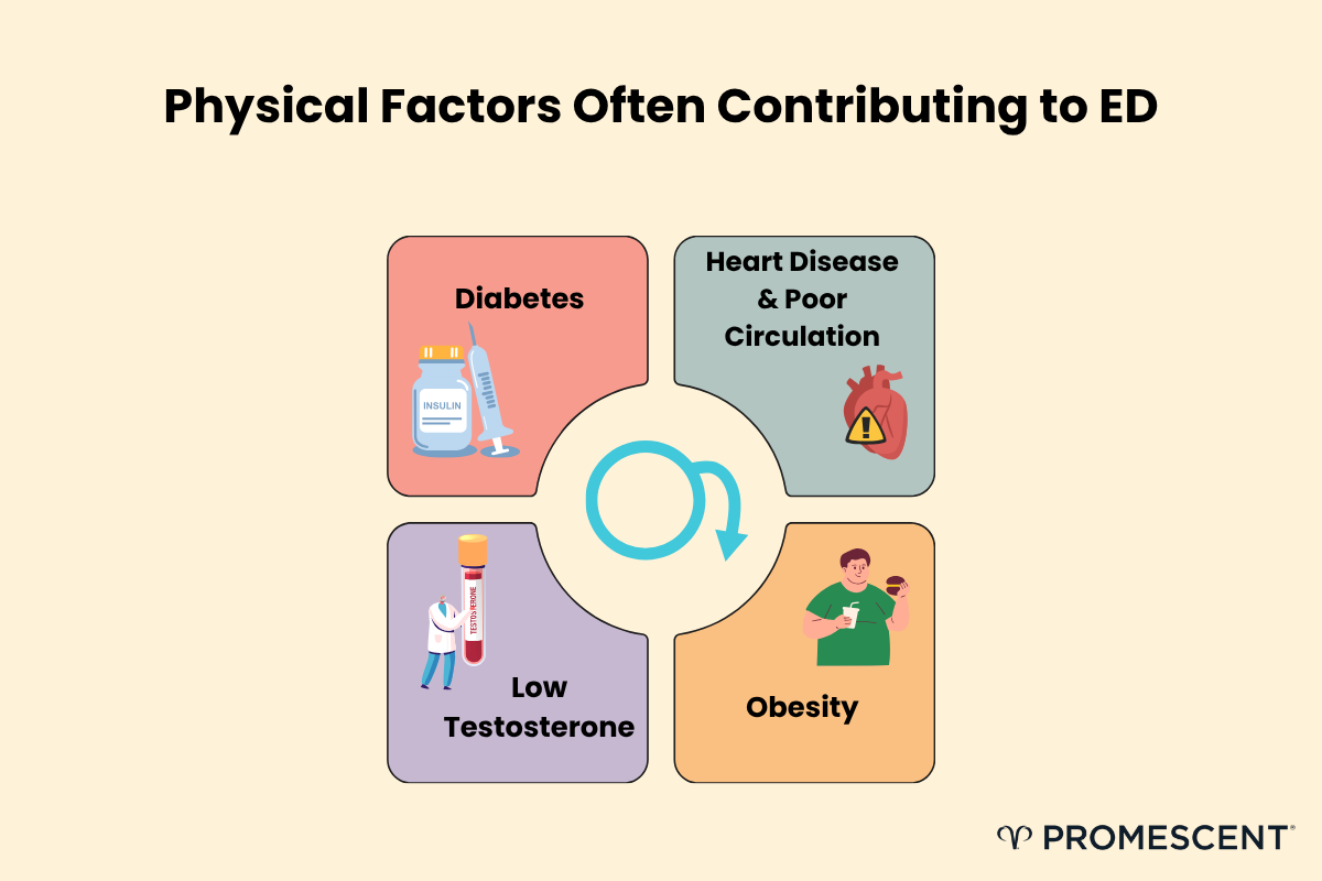 Physical factors that contribute to erectile dysfunction (ED).