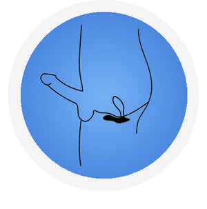 Vector prostate massager with dual stimulation