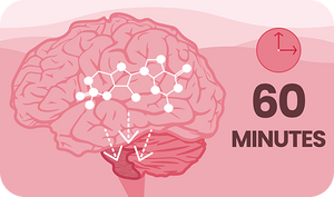 Sildenafil should be taken an hour before intercourse