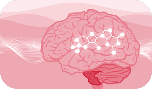 Testosterone can help with memory and cognition